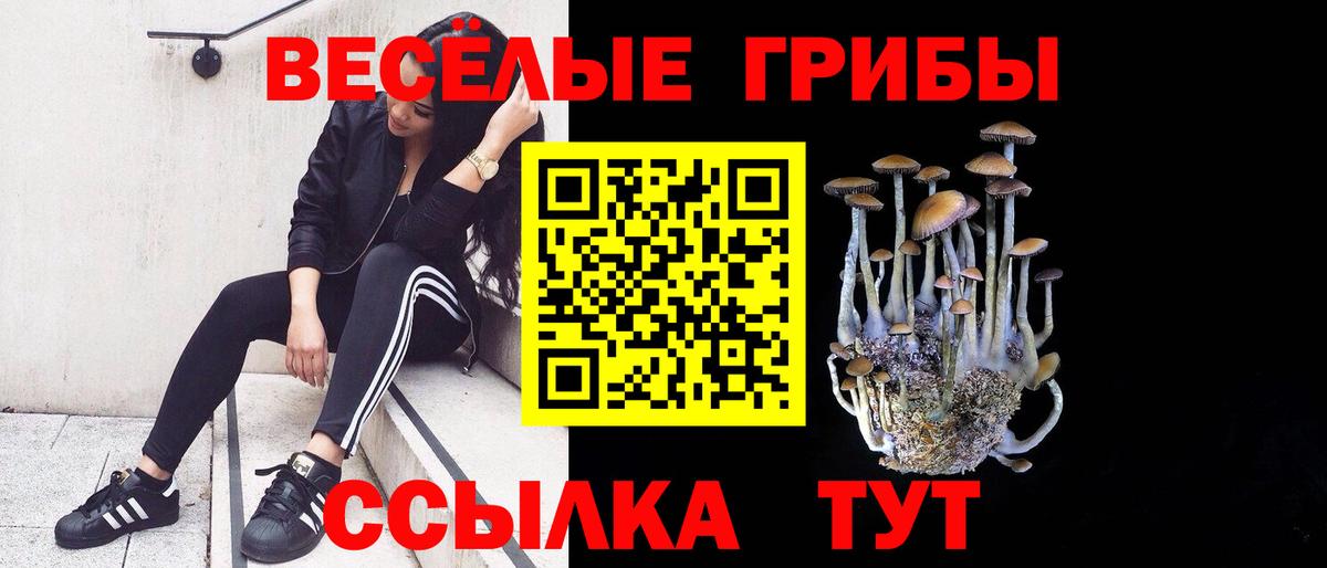 Галлюциногенные грибы Psilocybine cubensis Долгопрудный